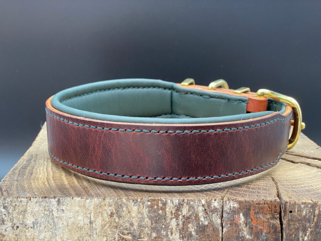 klassisches Halsband Geschirrleder Farbe Cognac mit Polsterung in Dunkelgrün und Messingbeschlägen