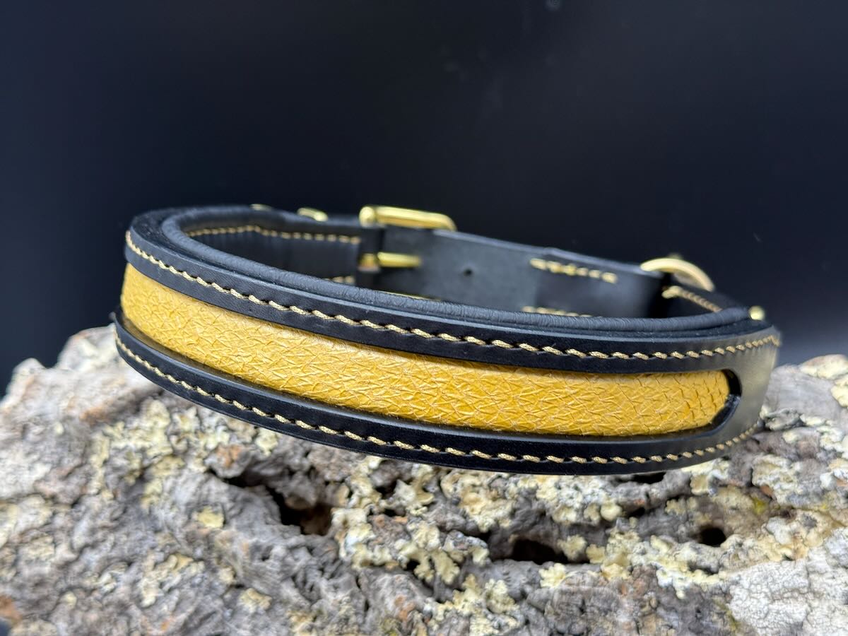 verstellbares Zugstopphalsband "Royal - Solar Eclipse" aus schwarzem Geschirrleder mit edlem Lachsleder-Inlay in Sonnengelb und schwarzer Polsterung