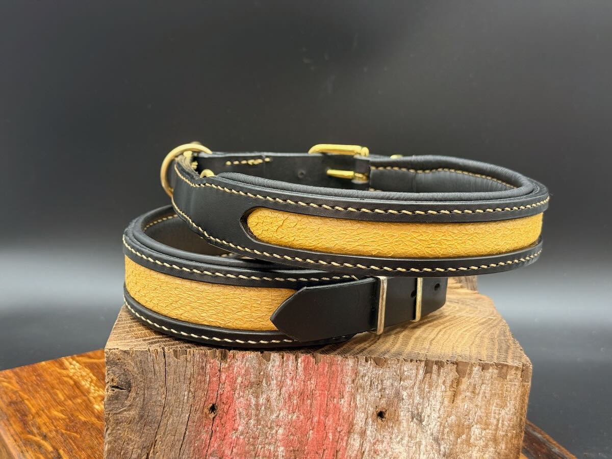 Edle Lederhalsbänder "Royal" mit Fischleder - einmal in 3,5cm und einmal in 4cm Gesamtbreite