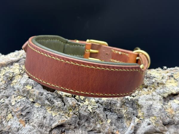 verstellbares Zugstopp-Lederhalsband aus Geschirrleder Natur mit olivfarbenem Nappaleder gepolstert und mit Messingbeschlägen