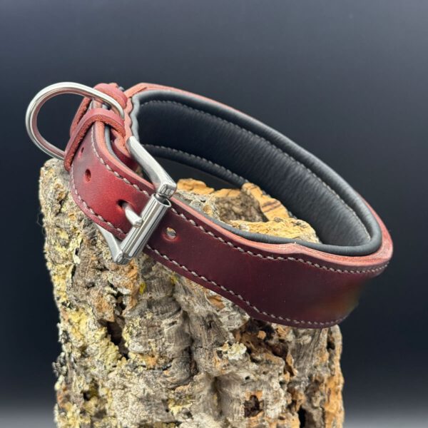 klassisches Lederhalsband mit Dornschließe. Modell Ludwig aus rotem Geschirrleder mit schwarzer Polsterung und Edelstahlschließe. Klassisch und edel.