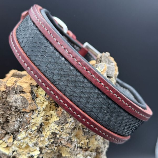Lederhalsband "Legend - Ruby Ash": rotes Geschirrleder mit einem edlen Fischleder-Inlay aus Lachsleder und schwarzer Polsterung. Dezent und Edel zugleich.