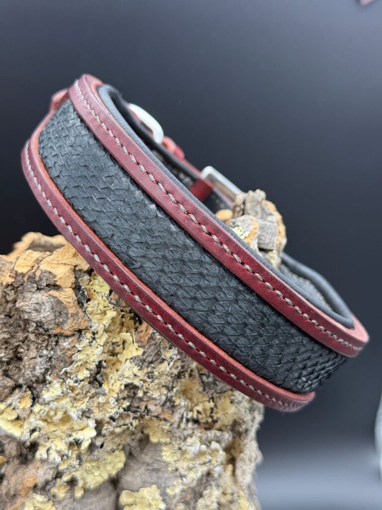 Lederhalsband "Legend - Ruby Ash": rotes Geschirrleder mit einem edlen Fischleder-Inlay aus Lachsleder und schwarzer Polsterung 