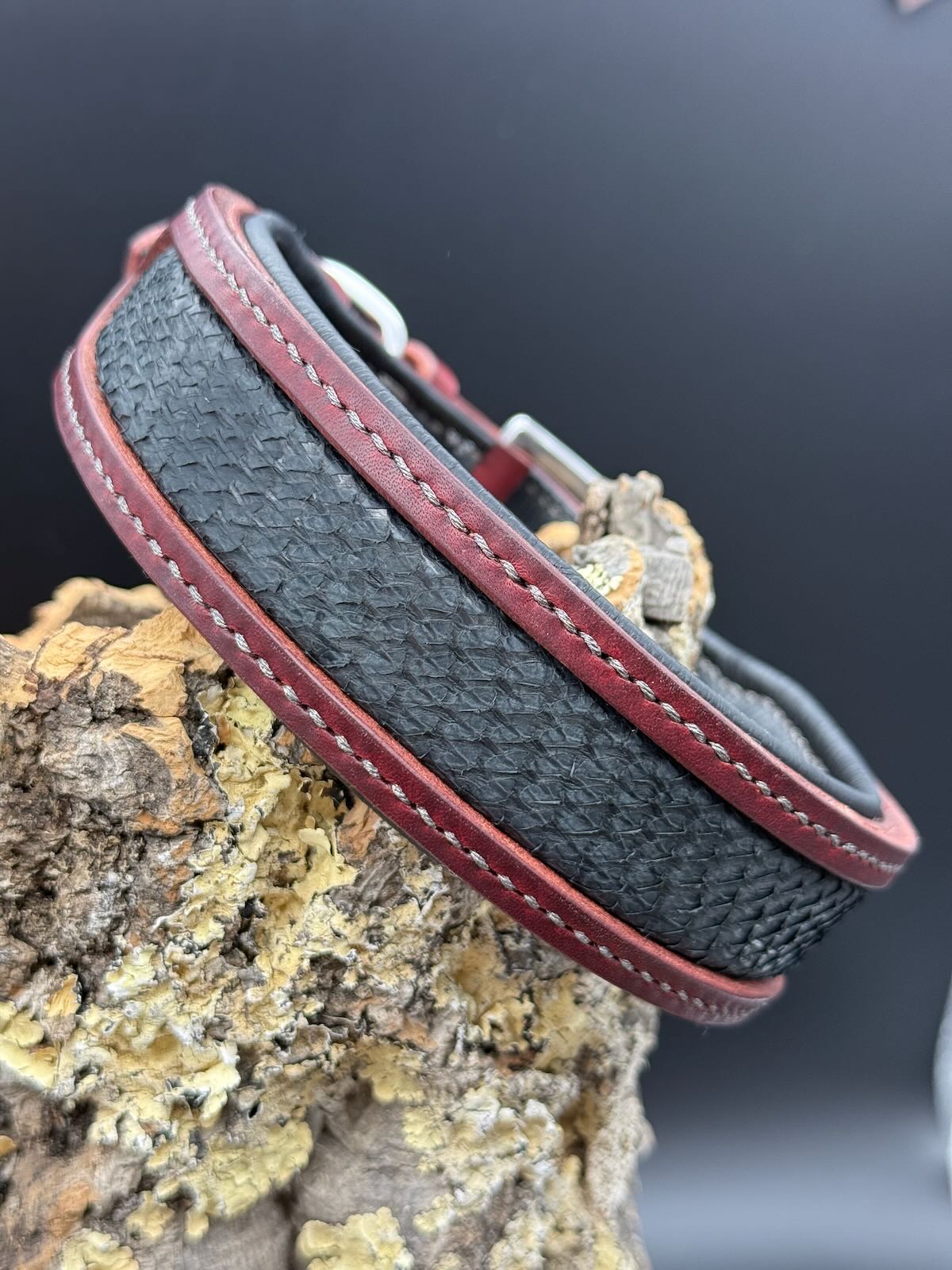 Lederhalsband "Legend - Ruby Ash": rotes Geschirrleder mit einem edlen Fischleder-Inlay aus Lachsleder und schwarzer Polsterung. Dezent und Edel zugleich.