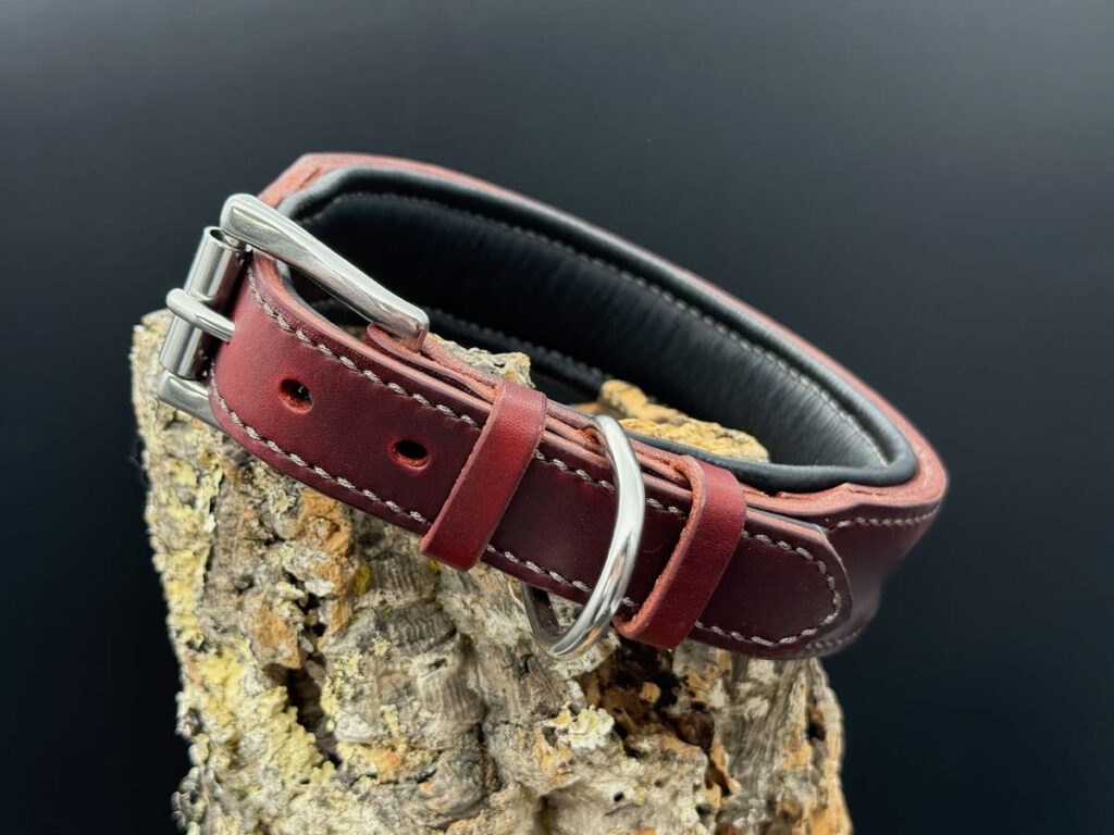 Lederhalsband "Ludwig" aus rotem Geschirrleder und schwarzer Polsterung und Edelstahlschließe. Eine edle und zeitlose Kombination.