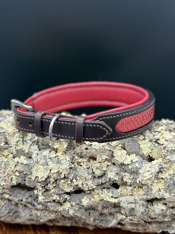 gepolstertes dunkelbraunes Lederhalsband mit rotem Fischleder Inlay und Beschlägen aus Edelstahl