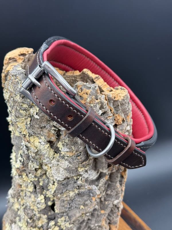 Geschirrlederhalsband in dunkelbraun mit roter Polsterung und Edelstahlbeschlägen