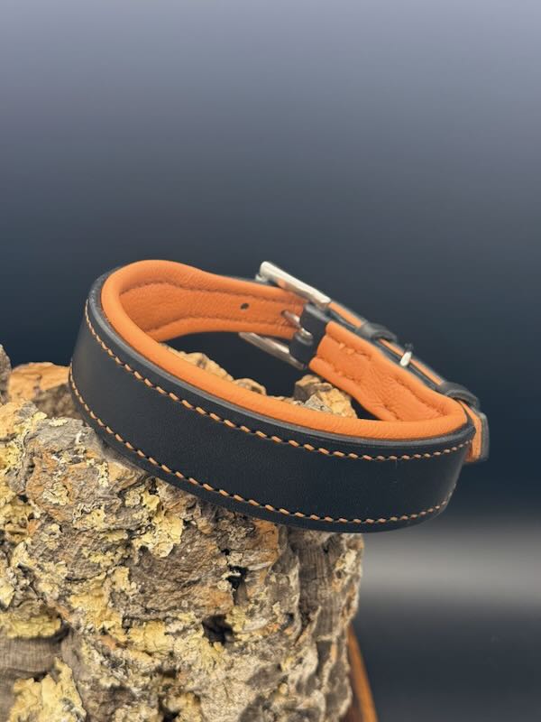 Lederhalsband Schwarz Modell "Ludwig" mit orangefarbener Polsterung und Edelstahl Beschlägen