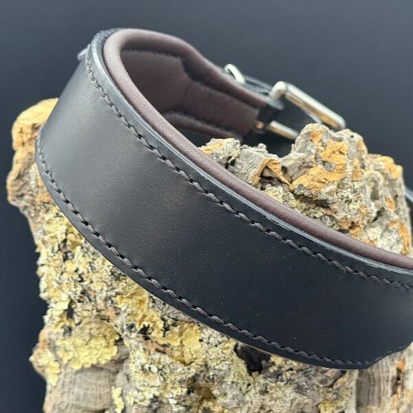 Schwarzes Lederhalsband Ludwig mit dunkelbrauner Polsterung und Edelstahlbeschl&auml;gen.