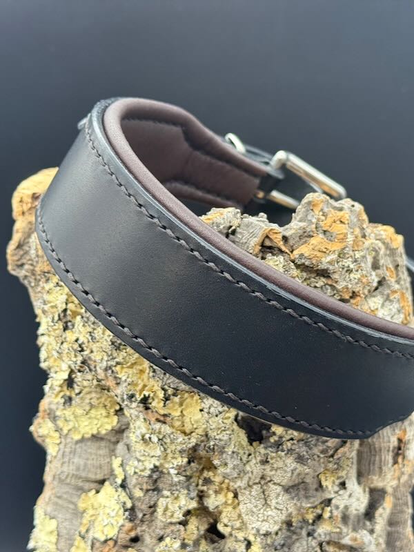 Schwarzes Lederhalsband Ludwig mit dunkelbrauner Polsterung und Edelstahlbeschlägen.