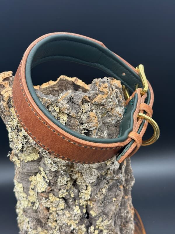 Lederhalsband Geschirrleder Natur & Tanne (37-43cm) Sofortkauf – Bild 2